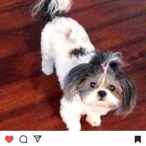 Meet your Posher, Charisse